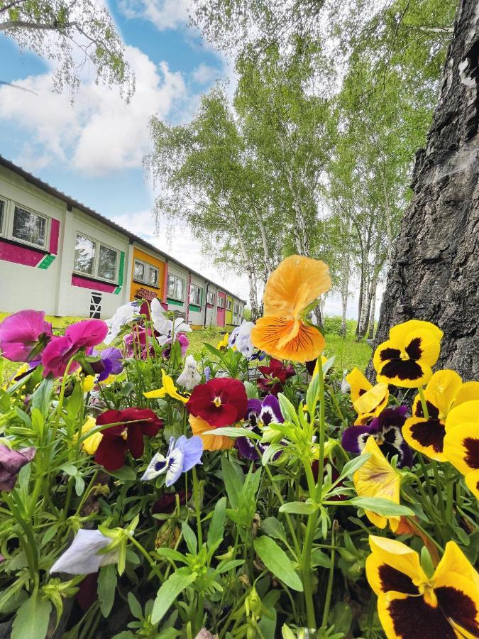 Koza I Brzoza, Domki Z Kontenerow Пеховице Экстерьер фото